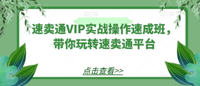 速卖通VIP实战操作速成班，带你玩转速卖通平台-宇文网创