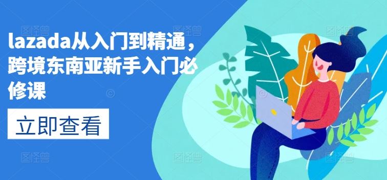 lazada从入门到精通，跨境东南亚新手入门必修课-宇文网创