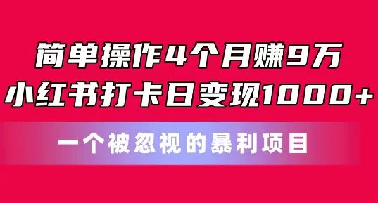 简单操作4个月赚9w，小红书打卡日变现1k，一个被忽视的暴力项目【揭秘】-宇文网创