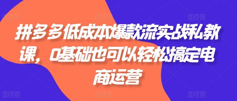 拼多多低成本爆款流实战私教课，0基础也可以轻松搞定电商运营-宇文网创