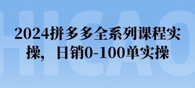 2024拼多多全系列课程实操，日销0-100单实操【必看】-宇文网创