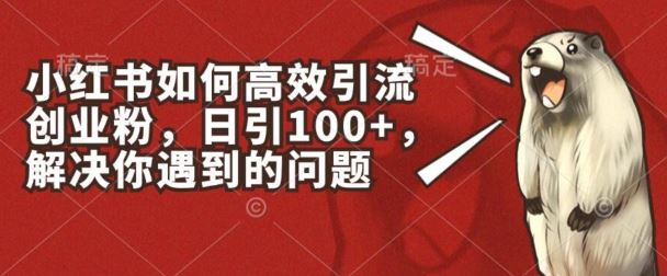 小红书如何高效引流创业粉，日引100+，解决你遇到的问题【揭秘】-宇文网创