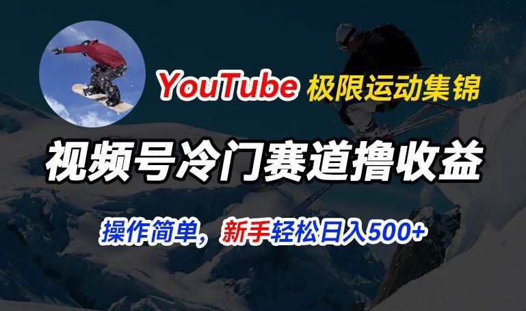 视频号冷门赛道撸收益，YouTube搬运极限运动集锦，暴力起号，操作简单流量高，轻松日入5张【揭秘】-宇文网创