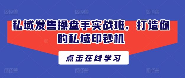 私域发售操盘手实战班，打造你的私域印钞机-宇文网创