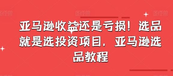 亚马逊收益还是亏损！选品就是选投资项目，亚马逊选品教程-宇文网创