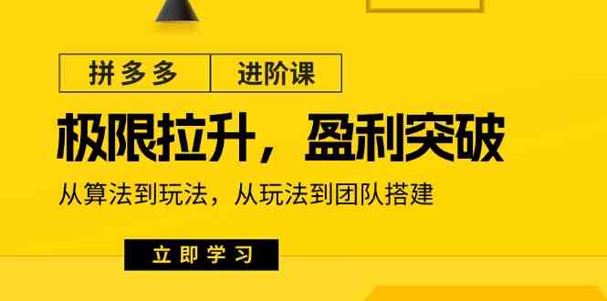 拼多多进阶课：极限拉升/盈利突破：从算法到玩法 从玩法到团队搭建（-宇文网创