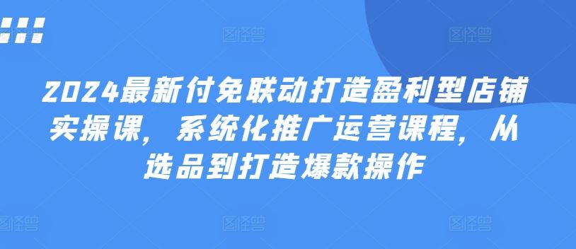 2024最新付免联动打造盈利型店铺实操课，​系统化推广运营课程，从选品到打造爆款操作-宇文网创