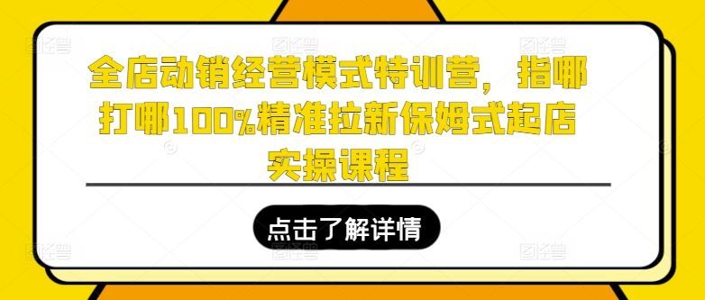 全店动销经营模式特训营，指哪打哪100%精准拉新保姆式起店实操课程-宇文网创