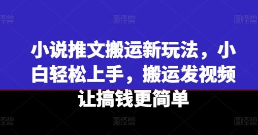 小说推文搬运新玩法，小白轻松上手，搬运发视频让搞钱更简单-宇文网创