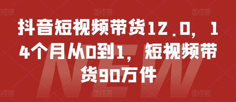 抖音短视频带货12.0，14个月从0到1，短视频带货90万件-宇文网创