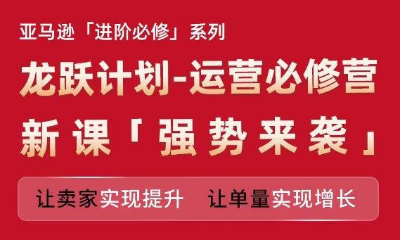 亚马逊进阶必修系列，龙跃计划-运营必修营新课，让卖家实现提升 让单量实现增长-宇文网创