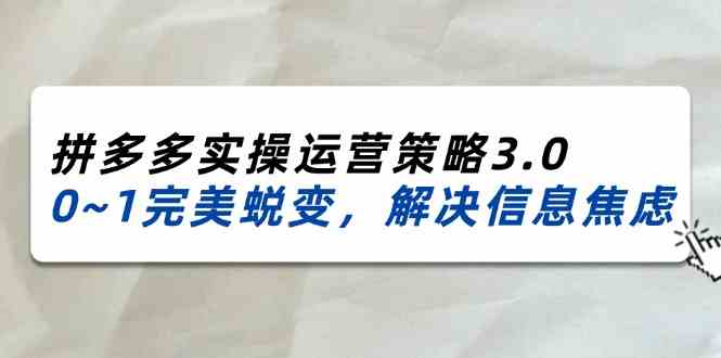 2024-2025拼多多实操运营策略3.0，0~1完美蜕变，解决信息焦虑（-宇文网创