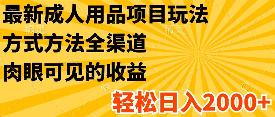 最新成人用品项目玩法，方式方法全渠道，肉眼可见的收益，轻松日入2000+-宇文网创