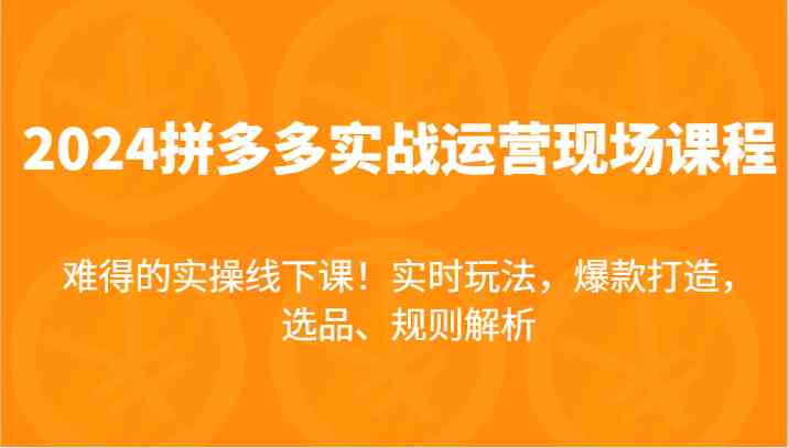 2024拼多多实战运营现场课，实时玩法，爆款打造，选品、规则解析，难得的实操线下课！-宇文网创