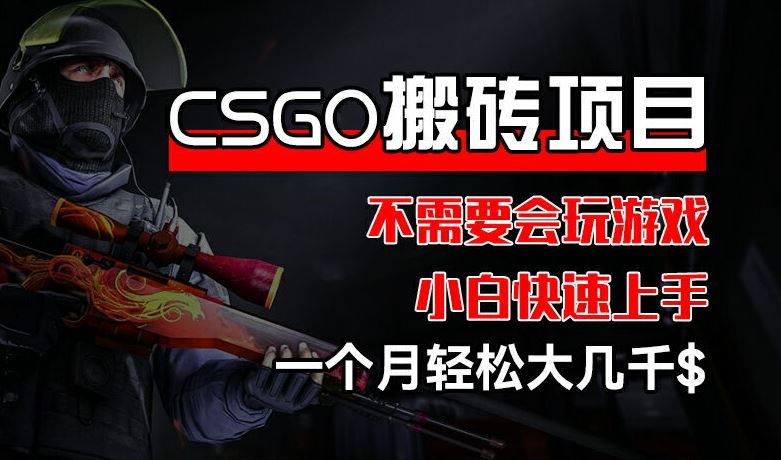 CSGO 装备搬砖项目，操作简单，不需要会玩游戏，小白也能快速上手，一个月轻松大几千【揭秘】-宇文网创