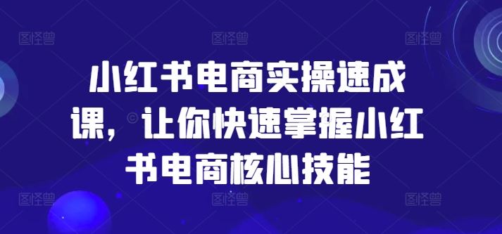 小红书电商实操速成课，让你快速掌握小红书电商核心技能-宇文网创