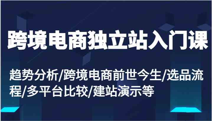 跨境电商独立站入门课：趋势分析/跨境电商前世今生/选品流程/多平台比较/建站演示等-宇文网创