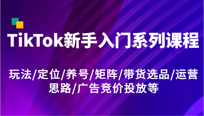 TikTok新手入门系列课程，玩法/定位/养号/矩阵/带货选品/运营思路/广告竞价投放等-宇文网创