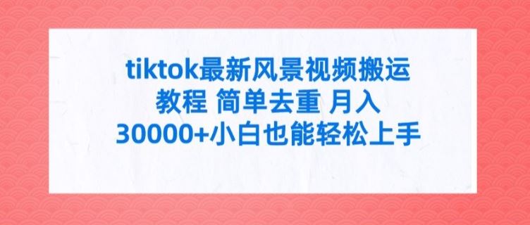 tiktok最新风景视频搬运教程 简单去重 月入3W+小白也能轻松上手【揭秘】-宇文网创