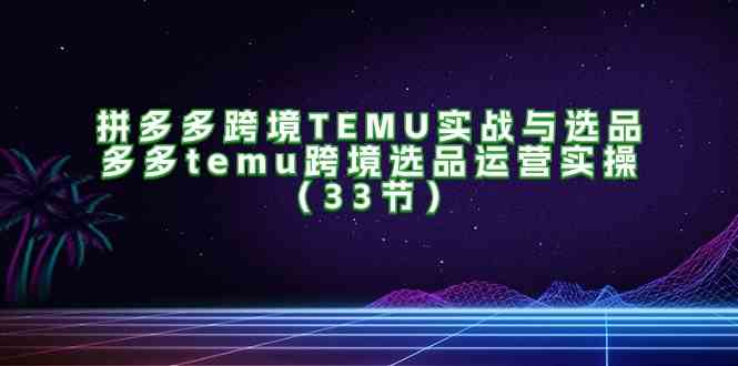 拼多多跨境TEMU实战与选品，多多temu跨境选品运营实操（-宇文网创