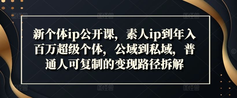 新个体ip公开课，素人ip到年入百万超级个体，公域到私域，普通人可复制的变现路径拆解-宇文网创