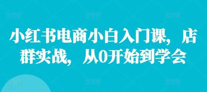 小红书电商小白入门课，店群实战，从0开始到学会-宇文网创