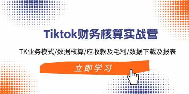 Tiktok财务核算实战营：TK业务模式/数据核算/应收款及毛利/数据下载及报表-宇文网创