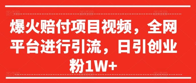 爆火赔付项目视频，全网平台进行引流，日引创业粉1W+【揭秘】-宇文网创