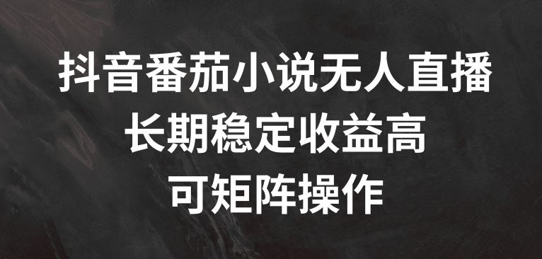 抖音番茄小说无人直播，长期稳定收益高，可矩阵操作【揭秘】-宇文网创