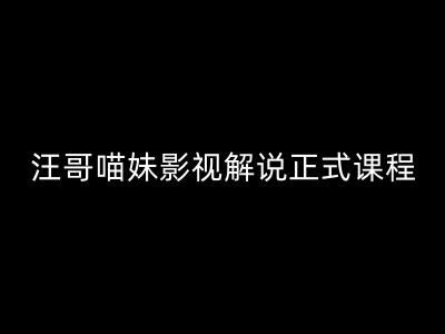 汪哥影视解说正式课程：剪映/PR教学/视解说剪辑5大黄金法则/全流程剪辑7把利器等等-宇文网创