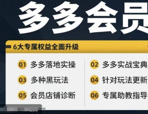 拼多多会员，拼多多实战宝典+实战落地实操，从新手到高阶内容全面覆盖-宇文网创