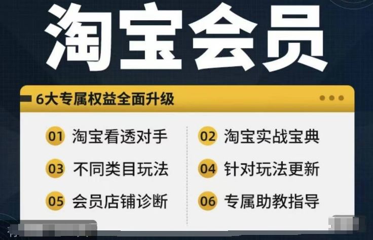 淘宝会员【淘宝所有课程，全面分析对手】，初级到高手全系实战宝典-宇文网创