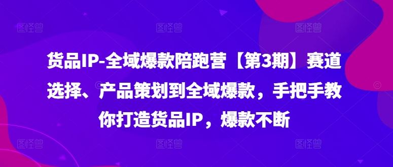 货品IP全域爆款陪跑营【第3期】赛道选择、产品策划到全域爆款，手把手教你打造货品IP，爆款不断-宇文网创