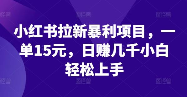 小红书拉新暴利项目，一单15元，日赚几千小白轻松上手【揭秘】-宇文网创