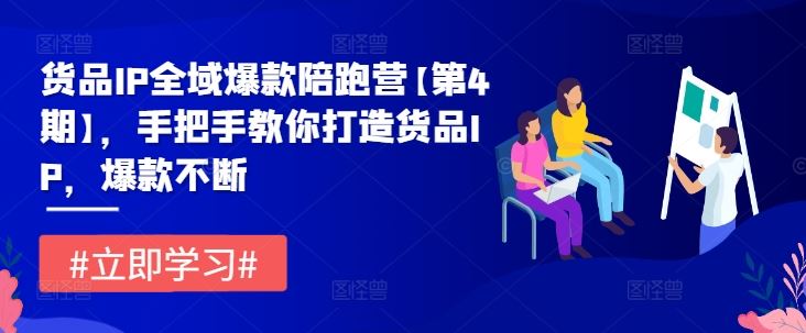 货品IP全域爆款陪跑营【第4期】，手把手教你打造货品IP，爆款不断-宇文网创