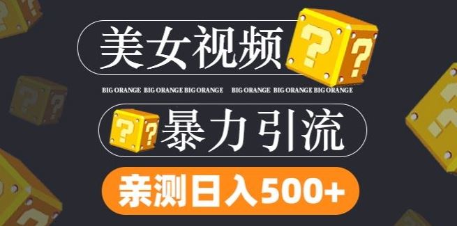 搬运tk美女视频全网分发，日引s粉300+，轻松变现，不限流量不封号【揭秘】-宇文网创