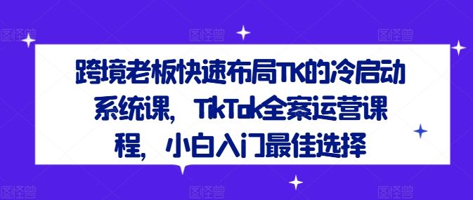 跨境老板快速布局TK的冷启动系统课，TikTok全案运营课程，小白入门最佳选择-宇文网创