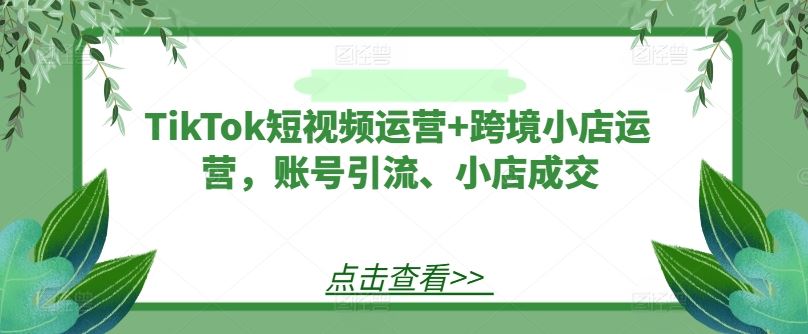 TikTok短视频运营+跨境小店运营，账号引流、小店成交-宇文网创