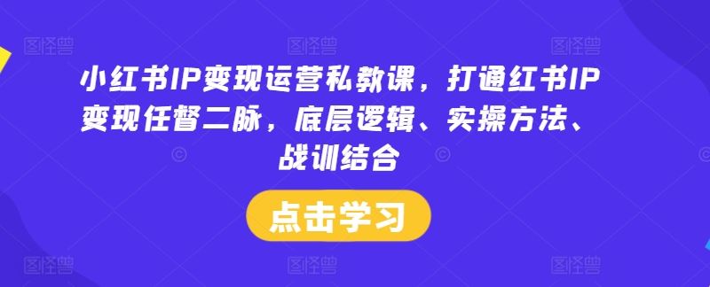 小红书IP变现运营私教课，打通红书IP变现任督二脉，底层逻辑、实操方法、战训结合-宇文网创