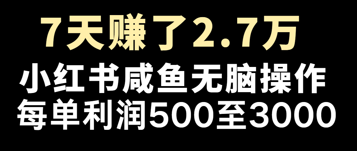 七天赚了2.7万！每单利润最少500+，轻松月入5万+小白有手就行-宇文网创