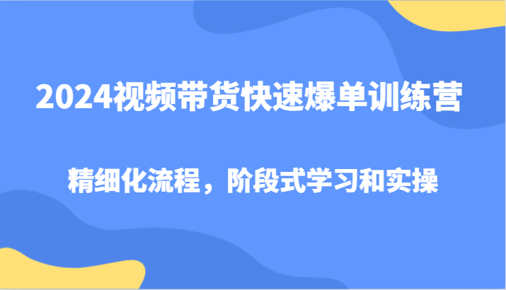 2024视频带货快速爆单训练营，精细化流程，阶段式学习和实操-宇文网创