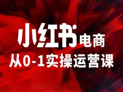 小红书电商从0-1实操运营课，让你从小白到精英-宇文网创