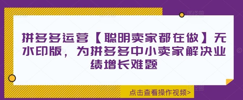 拼多多运营【聪明卖家都在做】无水印版，为拼多多中小卖家解决业绩增长难题-宇文网创