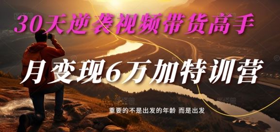 30天逆袭视频带货高手，单月变现6万加特训营-麦子甜-宇文网创