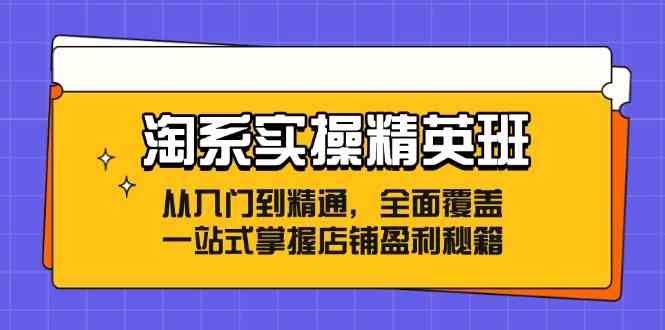 淘系实操精英班：从入门到精通，全面覆盖，一站式掌握店铺盈利秘籍-宇文网创