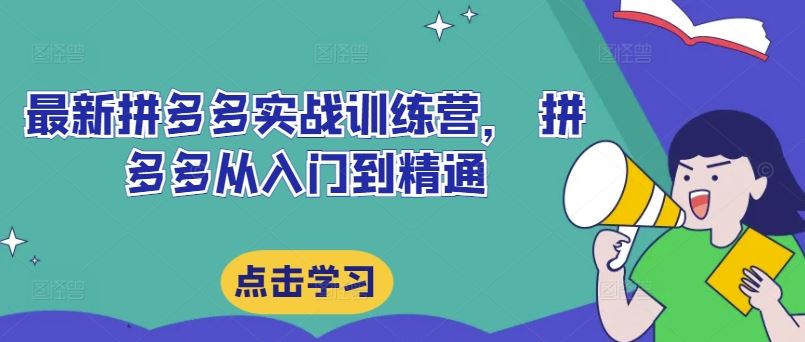 最新拼多多实战训练营， 拼多多从入门到精通-宇文网创