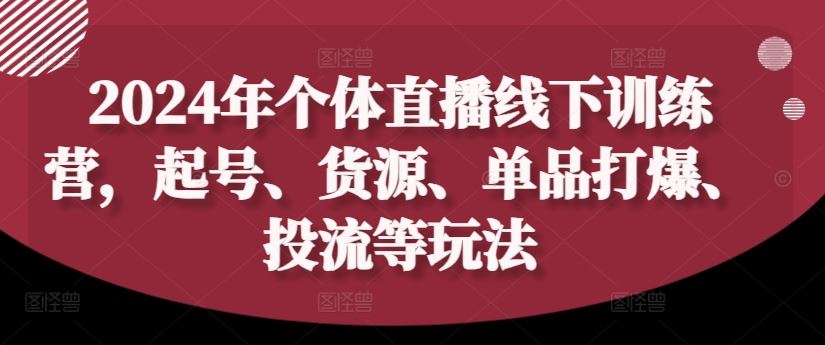 2024年个体直播训练营，起号、货源、单品打爆、投流等玩法-宇文网创