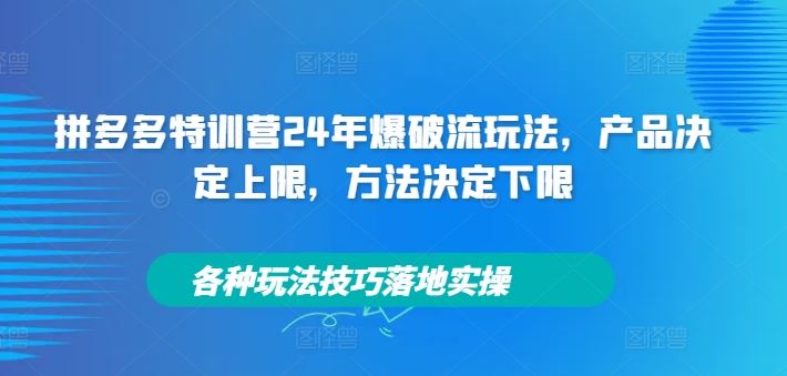 拼多多特训营24年爆破流玩法，产品决定上限，方法决定下限，各种玩法技巧落地实操-宇文网创