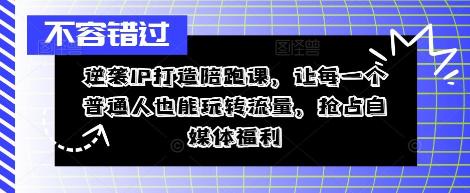 逆袭IP打造陪跑课，让每一个普通人也能玩转流量，抢占自媒体福利-宇文网创