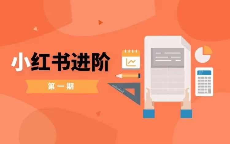 小红书进阶篇，零基础小白实战课，普通人变现的课程-宇文网创